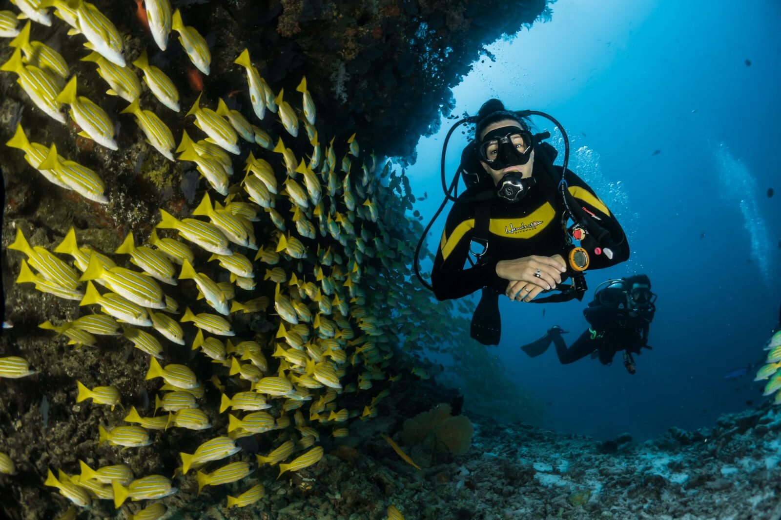 A diver above a coral reef