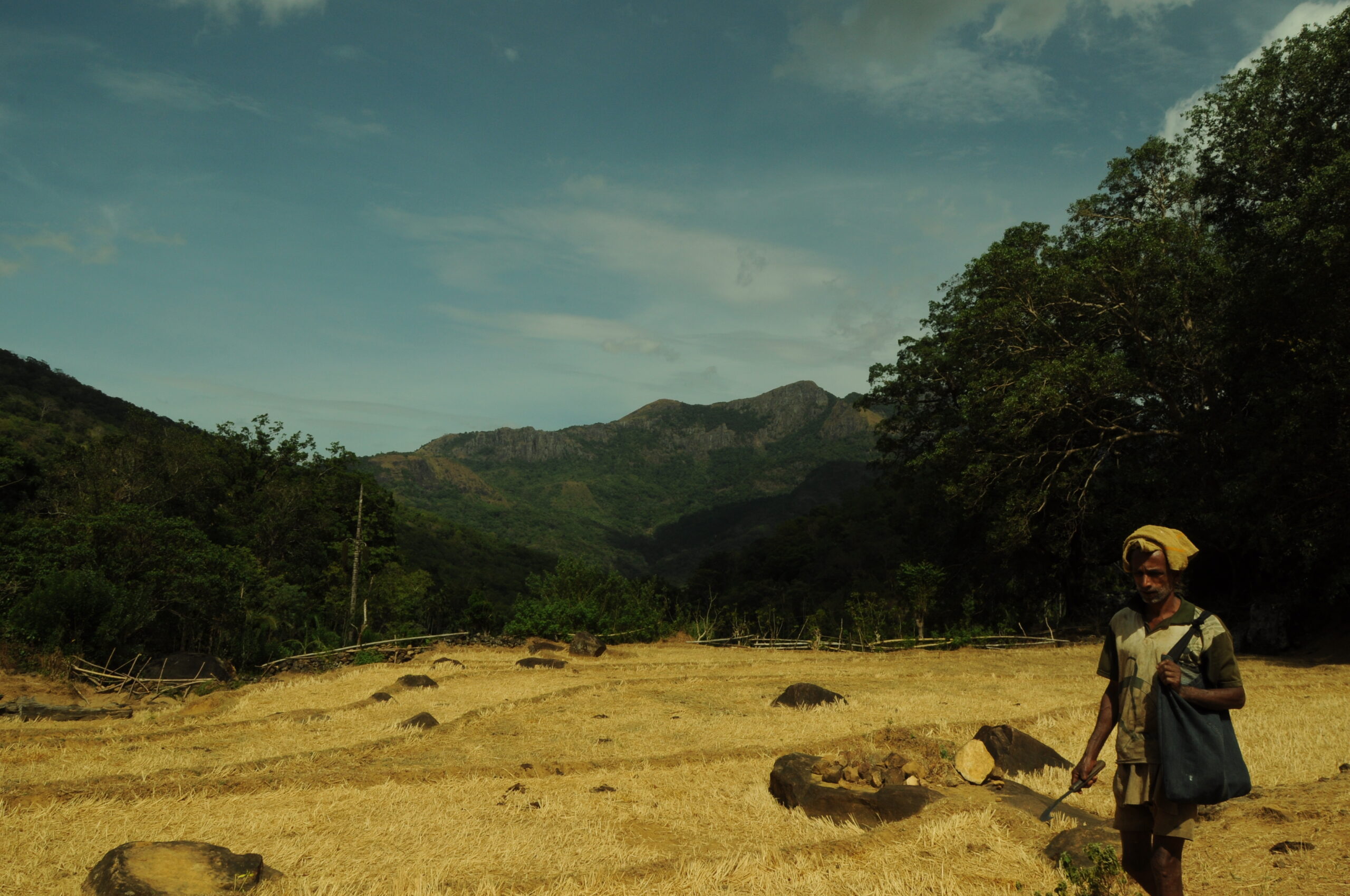 A villager working a paddy field in rural Sri Lanka