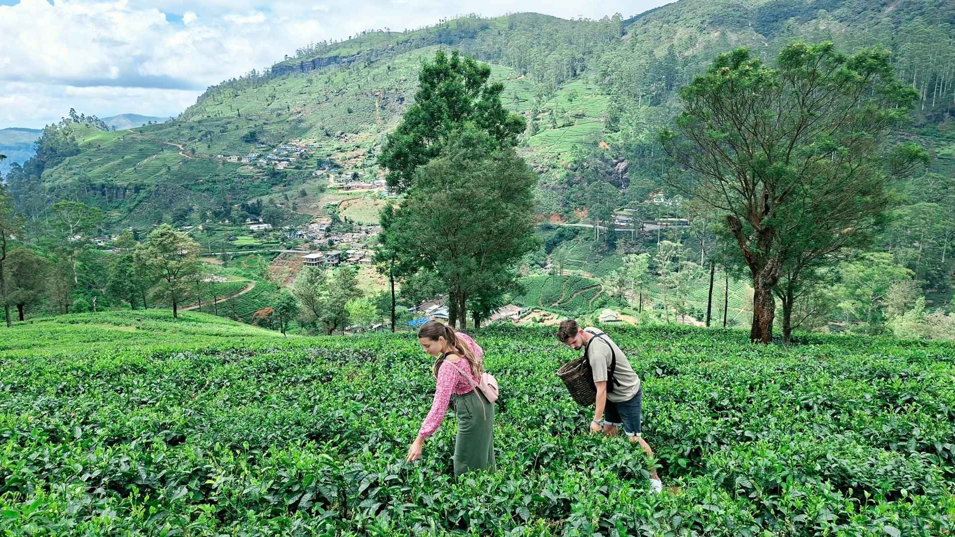 Ceylon Lanka Trails (5)