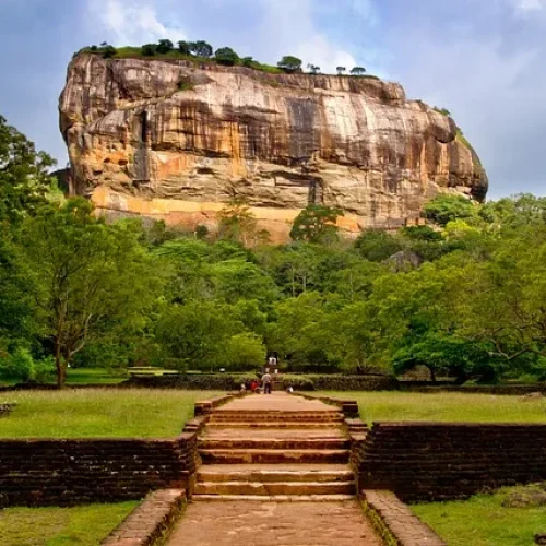 wellness_srilanka